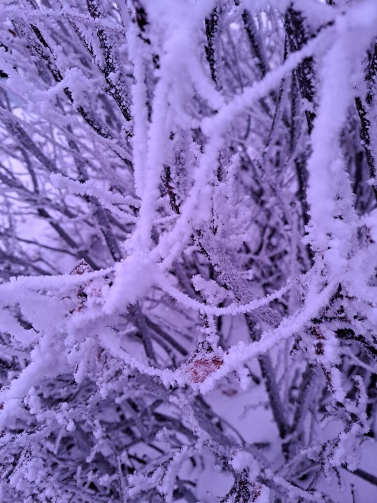 Driving Conditions Far From Ideal Thanks To Freezing Rain And Snow